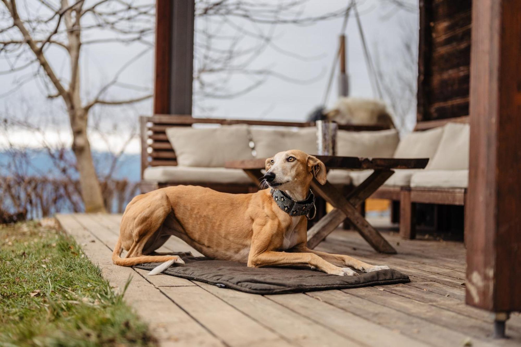 Boutique Chalet - Herke Eitweg Dış mekan fotoğraf